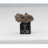 NWA 14056 Paired Achondrite HED Diogénite dans une boite (2.60 grammes - 010 **)