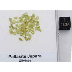 une boite avec des Olivines  de Pallasite Jepara ( Indonésie -  vers 1 gramme )