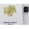 une boite avec des Olivines  de Pallasite Jepara ( Indonésie -  vers 1 gramme )