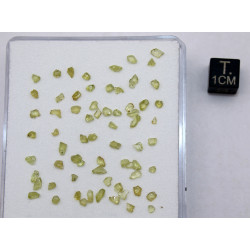 une boite avec des Olivines  de Pallasite Jepara ( Indonésie -  vers 1 gramme )