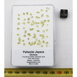 une boite avec des Olivines  de Pallasite Jepara ( Indonésie -  vers 1 gramme )