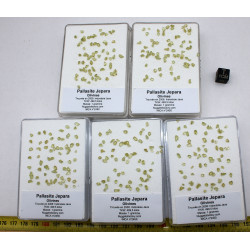une boite avec des Olivines  de Pallasite Jepara ( Indonésie -  vers 1 gramme )