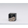 Météorite Lunaire Laâyoune 002 dans une boite Feld Breccia (Maroc - 0.202 gramme - 053**)
