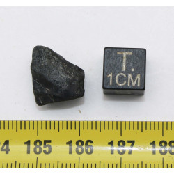 Dent de dinosaure hadrosauridé basal dans une boite ( Niger - 001 ** )