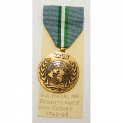 Decoration / Medaille USA U.N Nouvelle Guiné ( 053 )