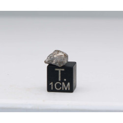 Météorite lunaire Laâyoune 002 dans une boite Feld Breccia (Maroc - 0.656 gramme 055**)