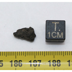 Météorite Lunaire NWA 13739 dans une boite Feld Breccia (Algérie - 0.41 gramme - 004 **)