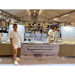 Météorite Campo del Cielo type Cristal dans une boite (Argentine - 21.85 grammes - 074**)