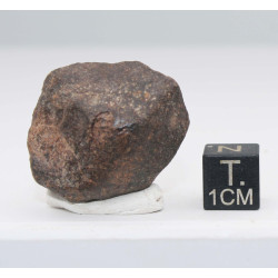 Météorite NWA Non classée dans une boite - Chondrite ( 16.35 grammes - 001** )