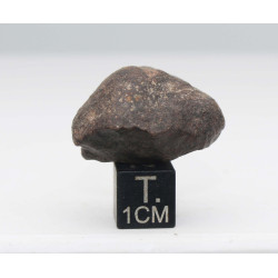 Météorite NWA Non classée dans une boite - Chondrite ( 16.35 grammes - 001** )