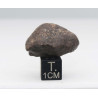 Météorite NWA Non classée dans une boite - Chondrite ( 16.35 grammes - 001** )