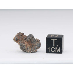 NWA 14056 Paired Achondrite HED Diogénite dans une boite (1.85 gramme - 011 **)