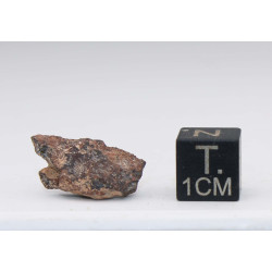Météorite Al Haggounia 008 dans une boite - Chondrite H5 (Maroc - 1.20 gramme - 003 **)