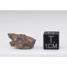 Météorite Al Haggounia 008 dans une boite - Chondrite H5 (Maroc - 1.20 gramme - 003 **)