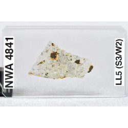 Lame mince de météorite NWA 4841 - chondrite LL5-S3-W2 (NWA - 053*)