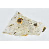 Lame mince de météorite NWA 4841 - chondrite LL5-S3-W2 (NWA - 053*)