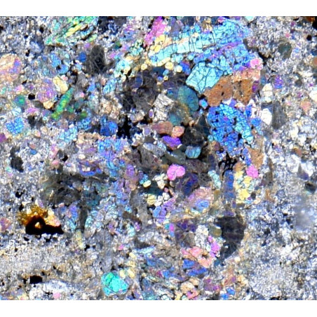 Lame mince de météorite NWA 4841 - chondrite LL5-S3-W2 (NWA - 053*)
