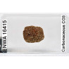 Lame mince de météorite NWA 16415 - chondrite carbonée CO3 (NWA - 054*)