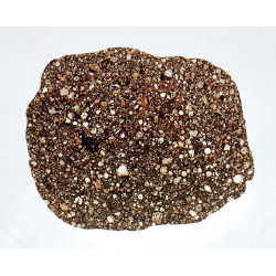 Lame mince de météorite NWA 16415 - chondrite carbonée CO3 (NWA - 054*)