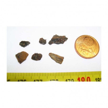 Meteorite Pallasovka - Pallasite ( 2.00 grs - 003 )