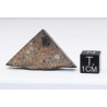 Tranche de Météorite NWA 12577 dans une boite Chondrite L4 ( 8.50 grammes - 001** )
