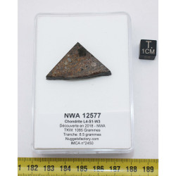 Tranche de Météorite NWA 12577 dans une boite Chondrite L4 ( 8.50 grammes - 001** )