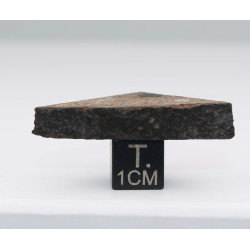 Tranche de Météorite NWA 12577 dans une boite Chondrite L4 ( 8.50 grammes - 001** )