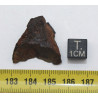 Météorite du désert d'Atacama dans une boite (Chili - 10.57 grammes - 001 **)
