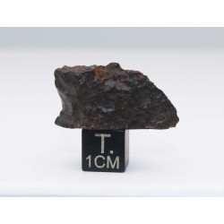 Météorite du désert d'Atacama dans une boite (Chili - 10.57 grammes - 001 **)