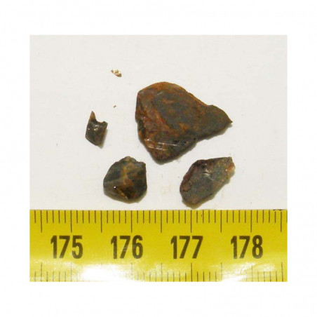 Meteorite Pallasovka - Pallasite ( 2.00 grs - 004 )