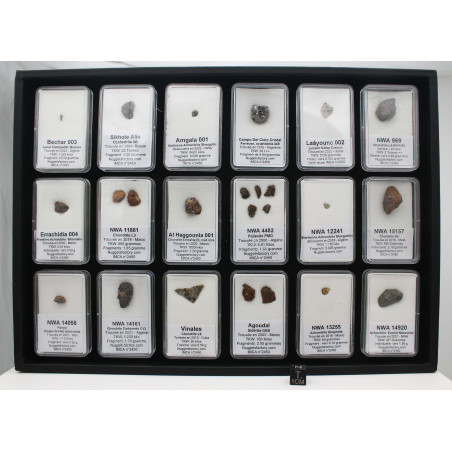 Collection de 18 météorites dans des boites avec un plateau (006 **)