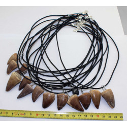 Collier pendentif dent de dinosaure dans une boite - Mosasaure (Maroc - 058**)