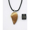 Collier pendentif dent de dinosaure dans une boite - Mosasaure (Maroc - 058**)