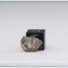 Météorite lunaire Laâyoune 002 dans une boite Feld Breccia (Maroc - 0.254 gramme 058**)