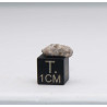 Météorite lunaire Laâyoune 002 dans une boite Feld Breccia (Maroc - 0.254 gramme 058**)