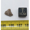 Météorite lunaire Laâyoune 002 dans une boite Feld Breccia (Maroc - 0.342 gramme 060**)