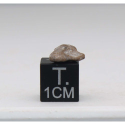 Météorite lunaire Laâyoune 002 dans une boite Feld Breccia (Maroc - 0.342 gramme 060**)