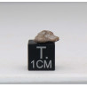 Météorite lunaire Laâyoune 002 dans une boite Feld Breccia (Maroc - 0.342 gramme 060**)