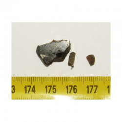 Meteorite Pallasovka - Pallasite ( 2.00 grs - 007 )