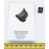 Météorite Campo del Cielo type Cristal dans une boite (Argentine - 27.75 grammes - 076**)