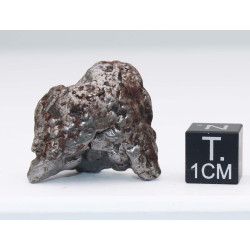 Météorite Campo del Cielo type Cristal dans une boite (Argentine - 27.75 grammes - 076**)