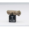 Fragment de trinitite dans une boîte - Verre d Alamogordo (USA - 1.97 grammes - 100)