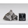 Météorite Campo del Cielo type Cristal dans une boite (Argentine - 8.95 grammes - 082**)
