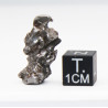 Météorite Campo del Cielo type Cristal dans une boite (Argentine - 5.25 grammes - 084**)