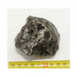 Meteorite Campo del Cielo ( 650 grs- 052 )