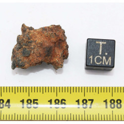 NWA 14056 Paired Achondrite HED Diogénite dans une boite (4.88 gramme - 012 **)