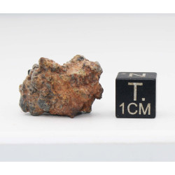 NWA 14056 Paired Achondrite HED Diogénite dans une boite (4.88 gramme - 012 **)