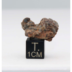 NWA 14056 Paired Achondrite HED Diogénite dans une boite (4.88 gramme - 012 **)