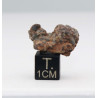 NWA 14056 Paired Achondrite HED Diogénite dans une boite (4.88 gramme - 012 **)
