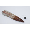 Dent de dinosaure Spinosaurus Aegypticus (Maroc  - 12.9 centimètres - 233**)
